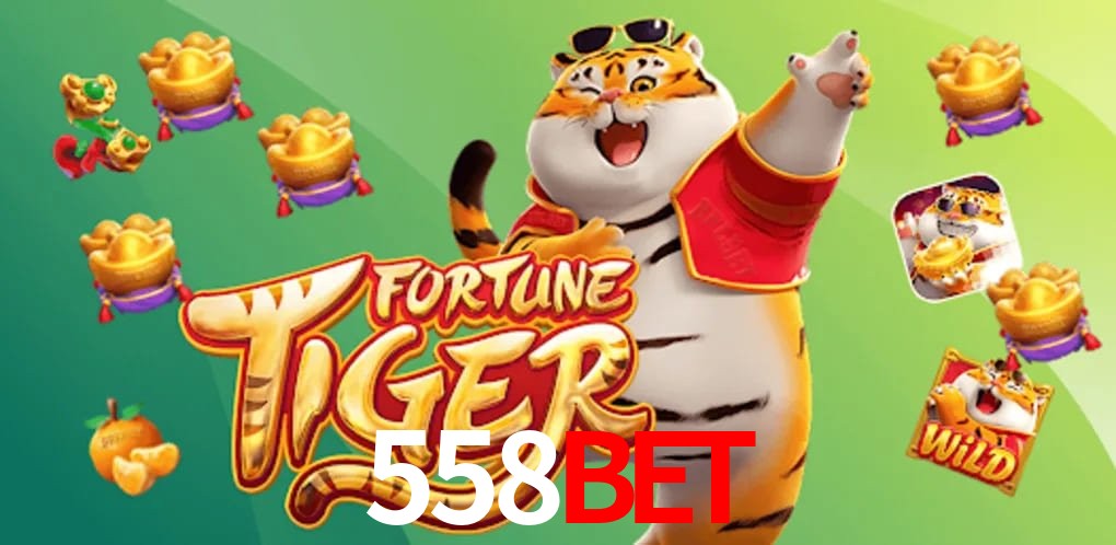 Experiência VIP 558bet